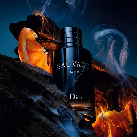 dior sauvage 香水